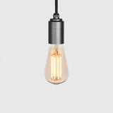 Squirrel Cage Plug-In Pendant in Graphite