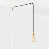 Squirrel Cage Plug-In Pendant in Brass